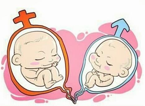 试管婴儿包生男孩公司